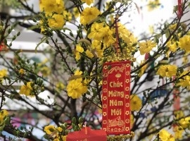 Gặp mặt đầu Xuân 2021