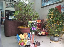 Gặp mặt đầu Xuân 2019