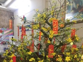 Khai Xuân Nhâm Dần 2022