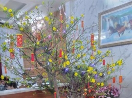 Khai Xuân Giáp Thìn 2024